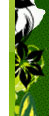 teeniepics_08.jpg